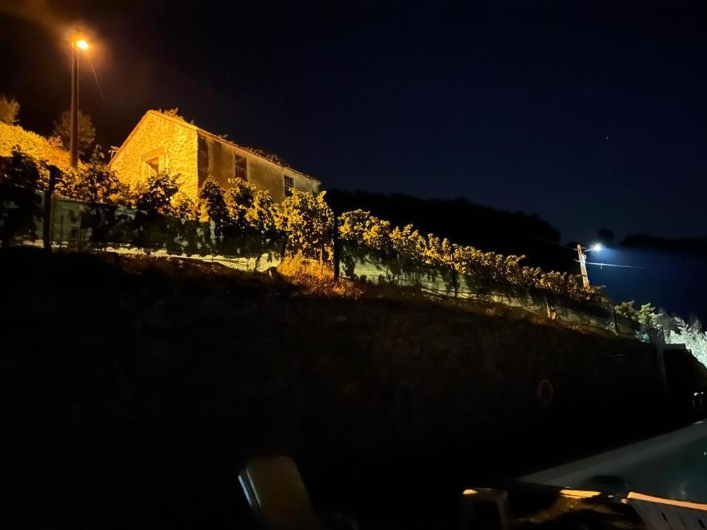 Willa Casa Da Oliveira Mesão Frio Zewnętrze zdjęcie