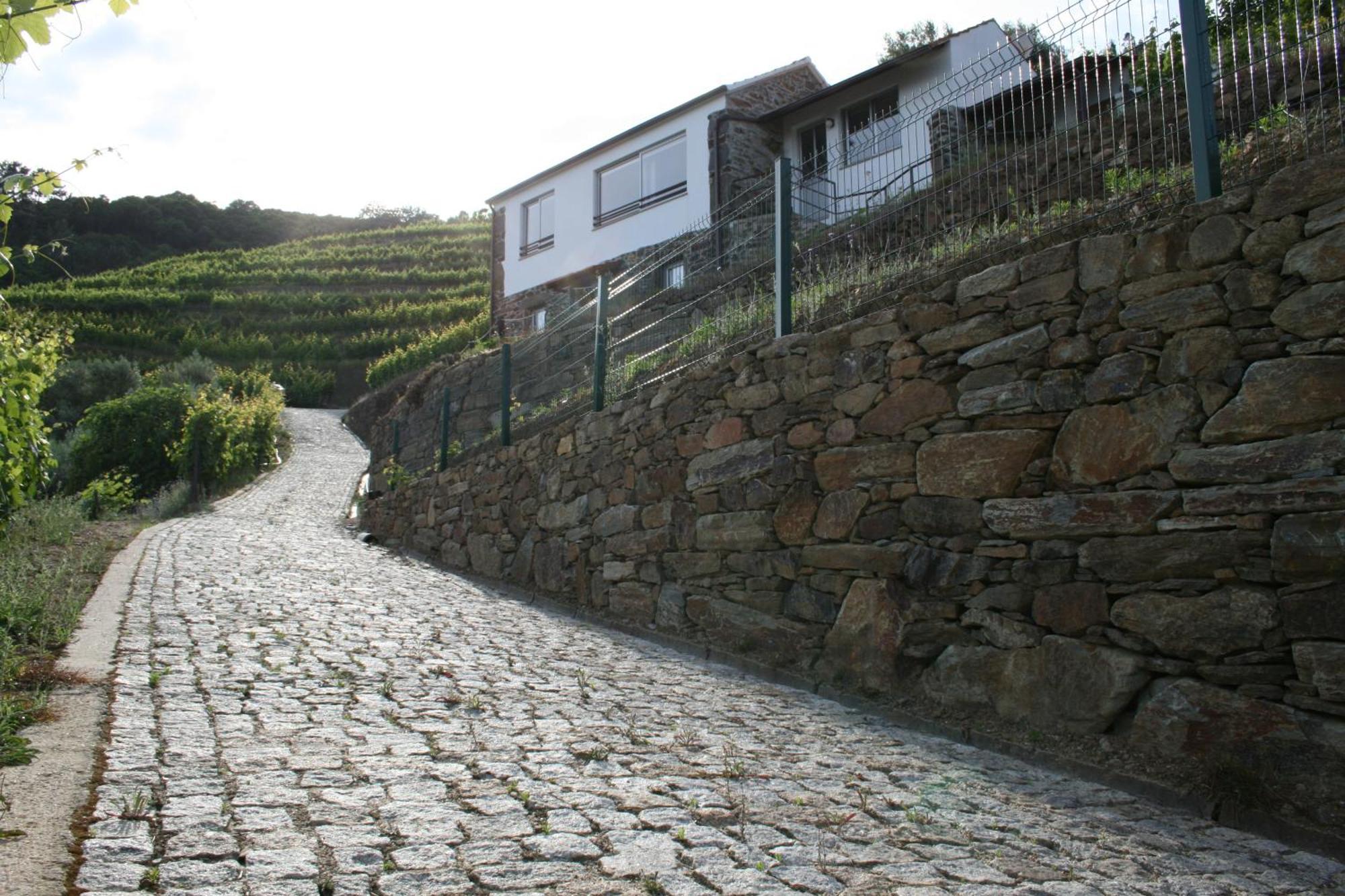 Willa Casa Da Oliveira Mesão Frio Zewnętrze zdjęcie