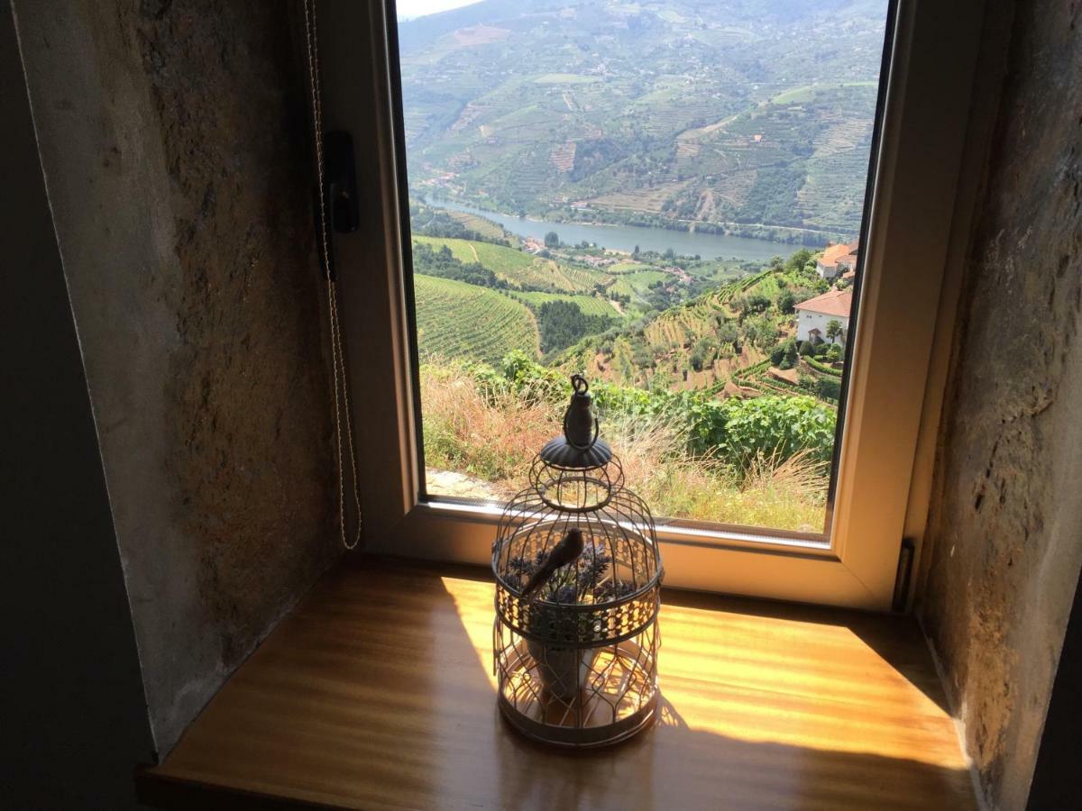 Willa Casa Da Oliveira Mesão Frio Zewnętrze zdjęcie